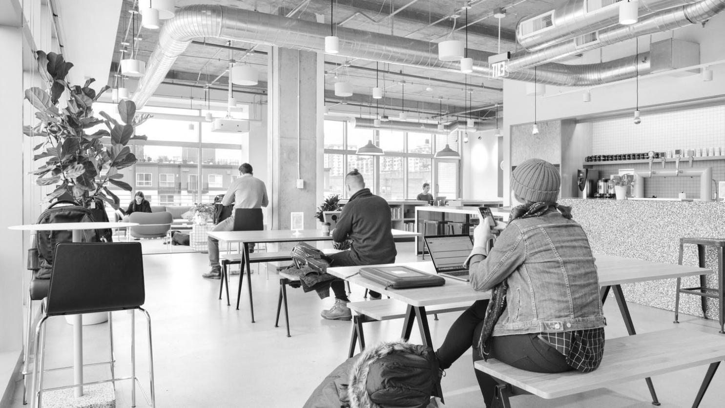 Finanzanalyse Grundlagen vermittelt in einem praxisnahen Webinar